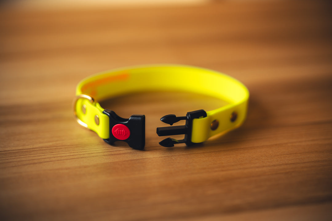 Biothane Halsband 25 mm – maßgefertigtes Hundehalsband mit Klickverschluss für Jagd & Alltag – MeinJagdhund.Club
