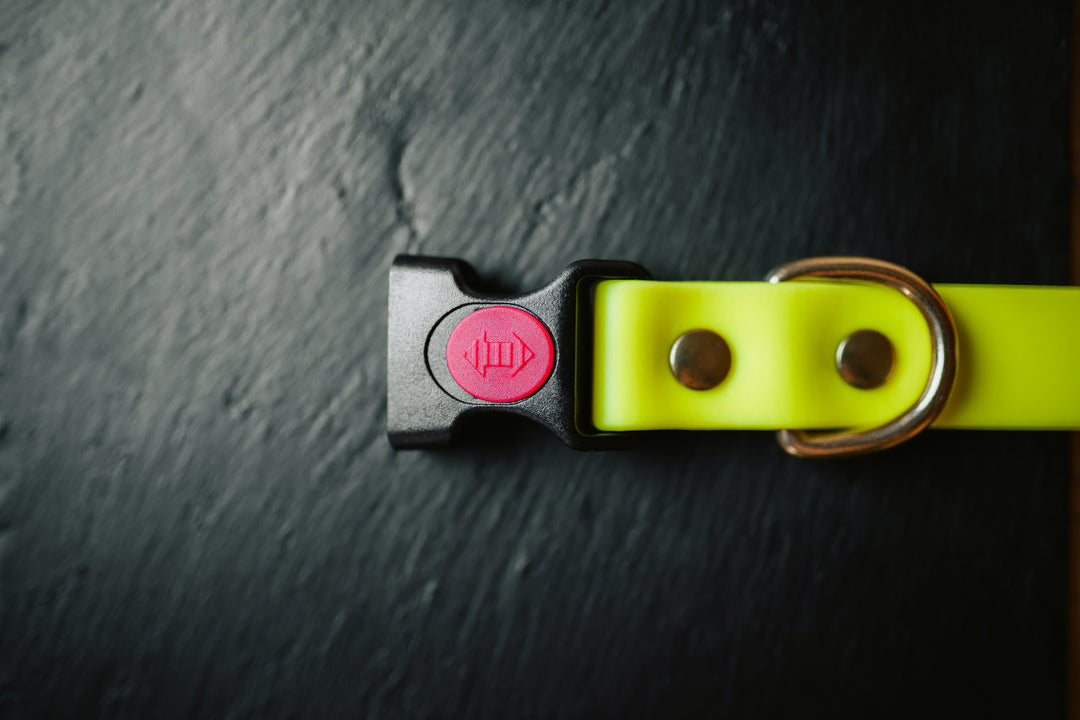 Biothane Halsband 25 mm – maßgefertigtes Hundehalsband mit Klickverschluss für Jagd & Alltag – MeinJagdhund.Club
