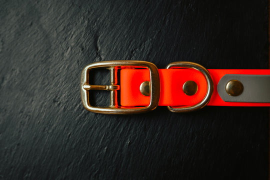 Biothane Halsung BICOLOR – zweifarbiges, personalisiertes Hundehalsband für Jagdhunde – MeinJagdhund.Club
3