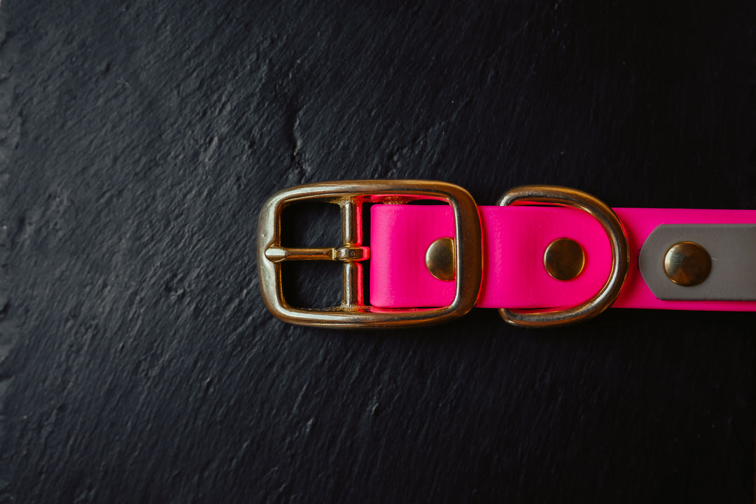 Biothane Halsung BICOLOR – zweifarbiges, personalisiertes Hundehalsband für Jagdhunde – MeinJagdhund.Club4
