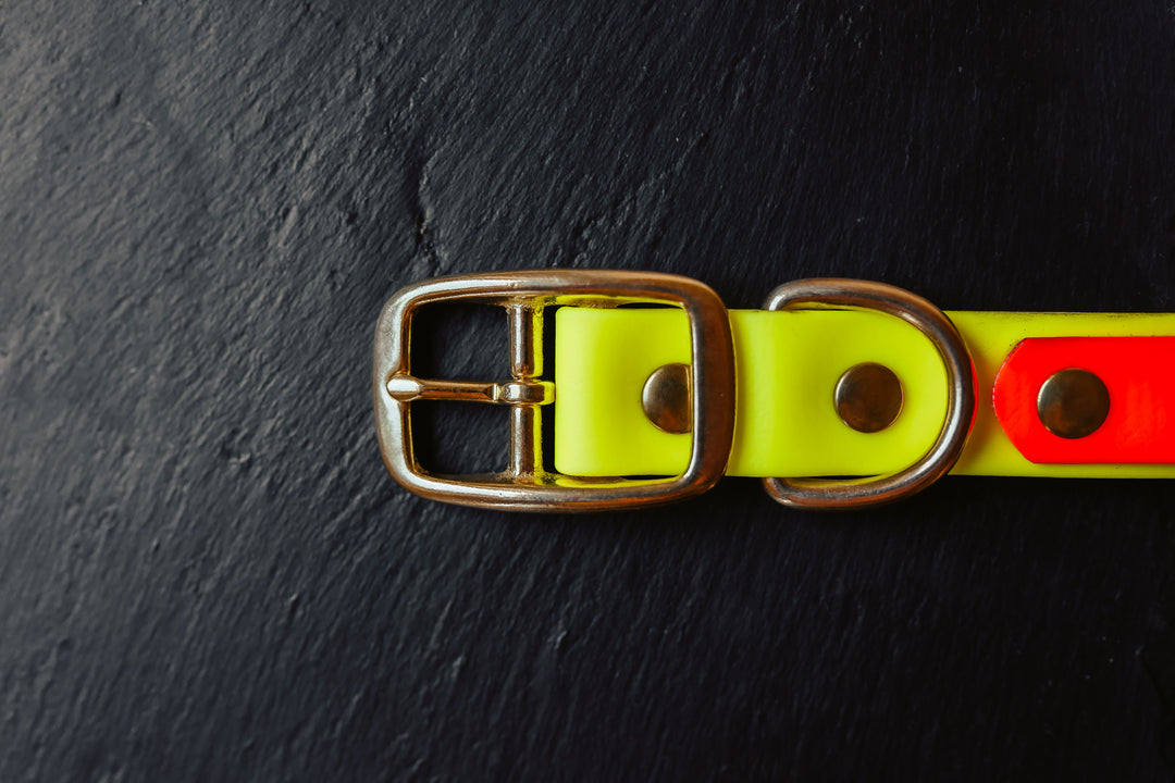 Biothane Halsung BICOLOR – zweifarbiges, personalisiertes Hundehalsband für Jagdhunde – MeinJagdhund.Club
5