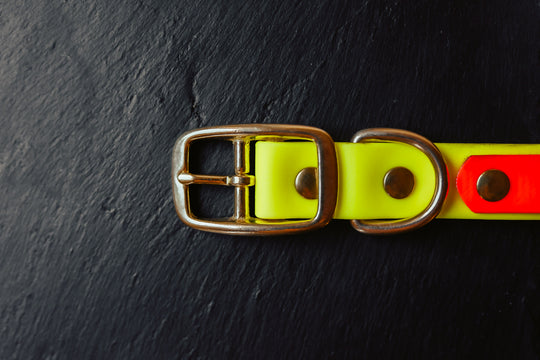 Biothane Halsung BICOLOR – zweifarbiges, personalisiertes Hundehalsband für Jagdhunde – MeinJagdhund.Club
5