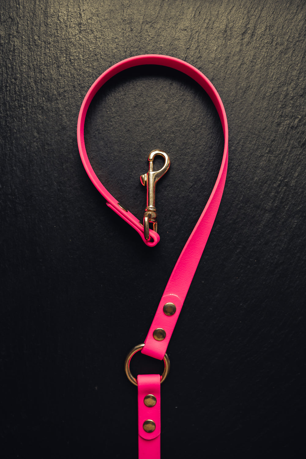 Biothane Umhängeleine – maßgefertigte Hundeleine mit Namensdruck für Jagd & Alltag – MeinJagdhund.Club
2