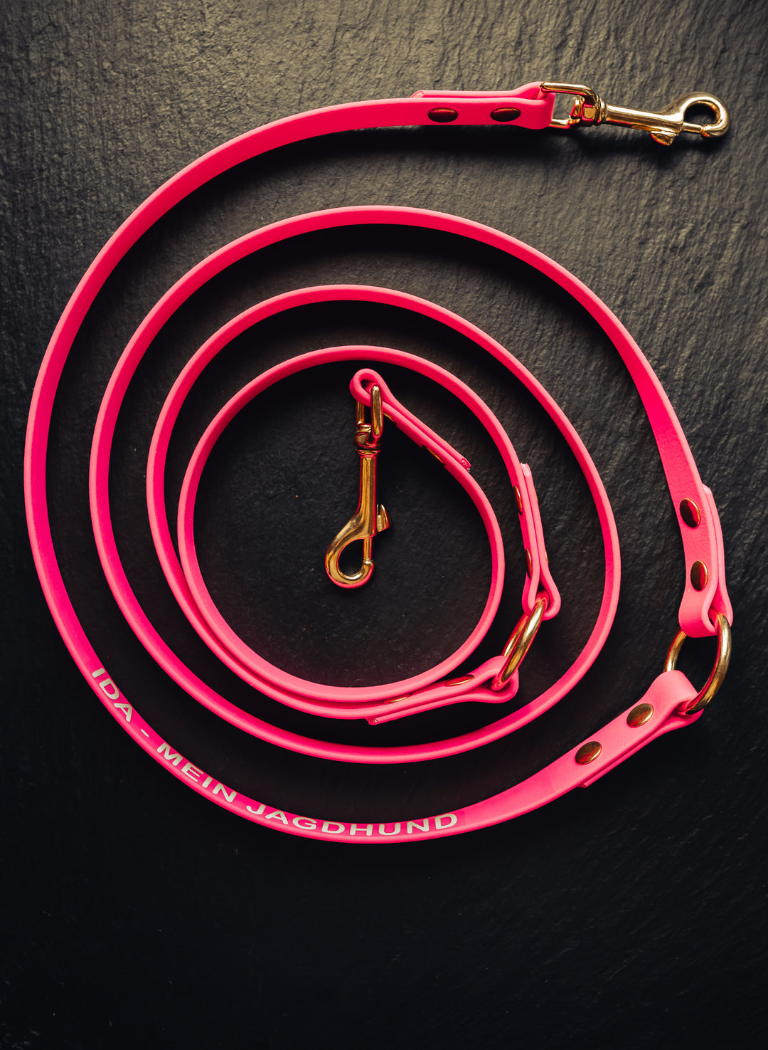 Biothane Umhängeleine – maßgefertigte Hundeleine mit Namensdruck für Jagd & Alltag – MeinJagdhund.Club
3