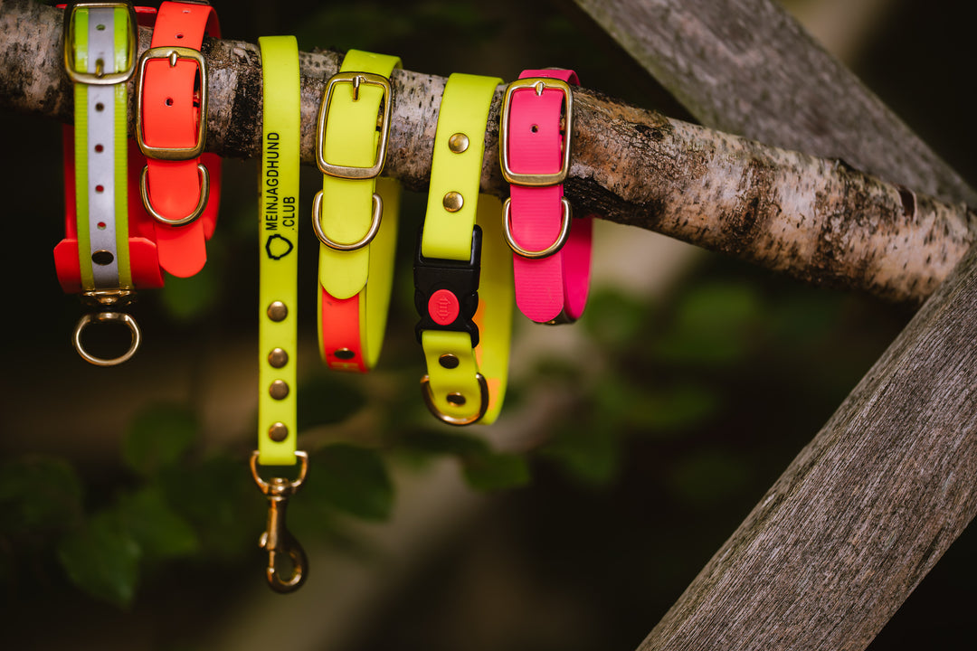 Premium Biothane Halsband (25 mm)