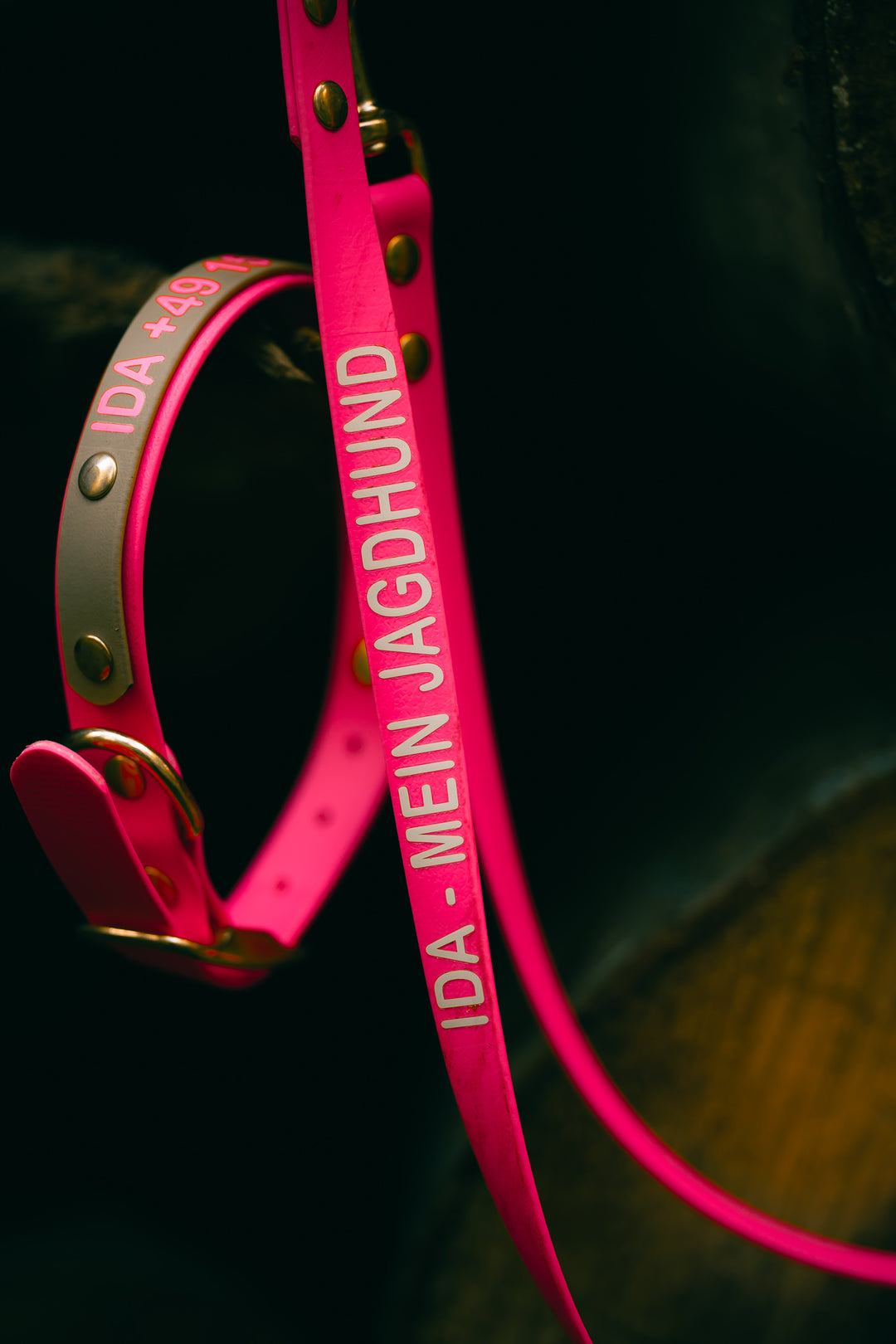 Biothane Halsung BICOLOR – zweifarbiges, personalisiertes Hundehalsband für Jagdhunde – MeinJagdhund.Club
9