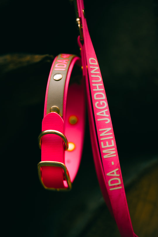 Biothane Halsung BICOLOR – zweifarbiges, personalisiertes Hundehalsband für Jagdhunde – MeinJagdhund.Club
10