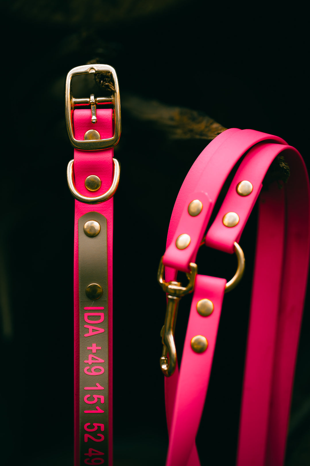 Biothane Umhängeleine – maßgefertigte Hundeleine mit Namensdruck für Jagd & Alltag – MeinJagdhund.Club
6