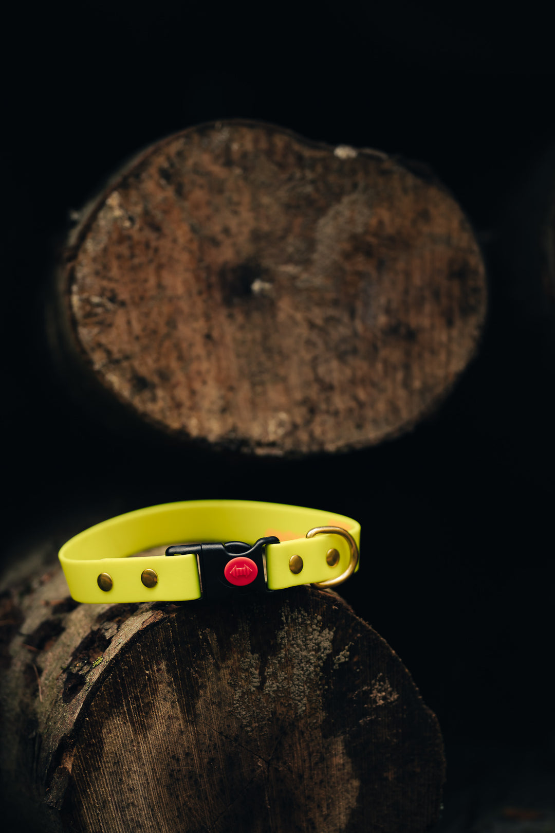 Biothane Halsband 25 mm – maßgefertigtes Hundehalsband mit Klickverschluss für Jagd & Alltag – MeinJagdhund.Club
