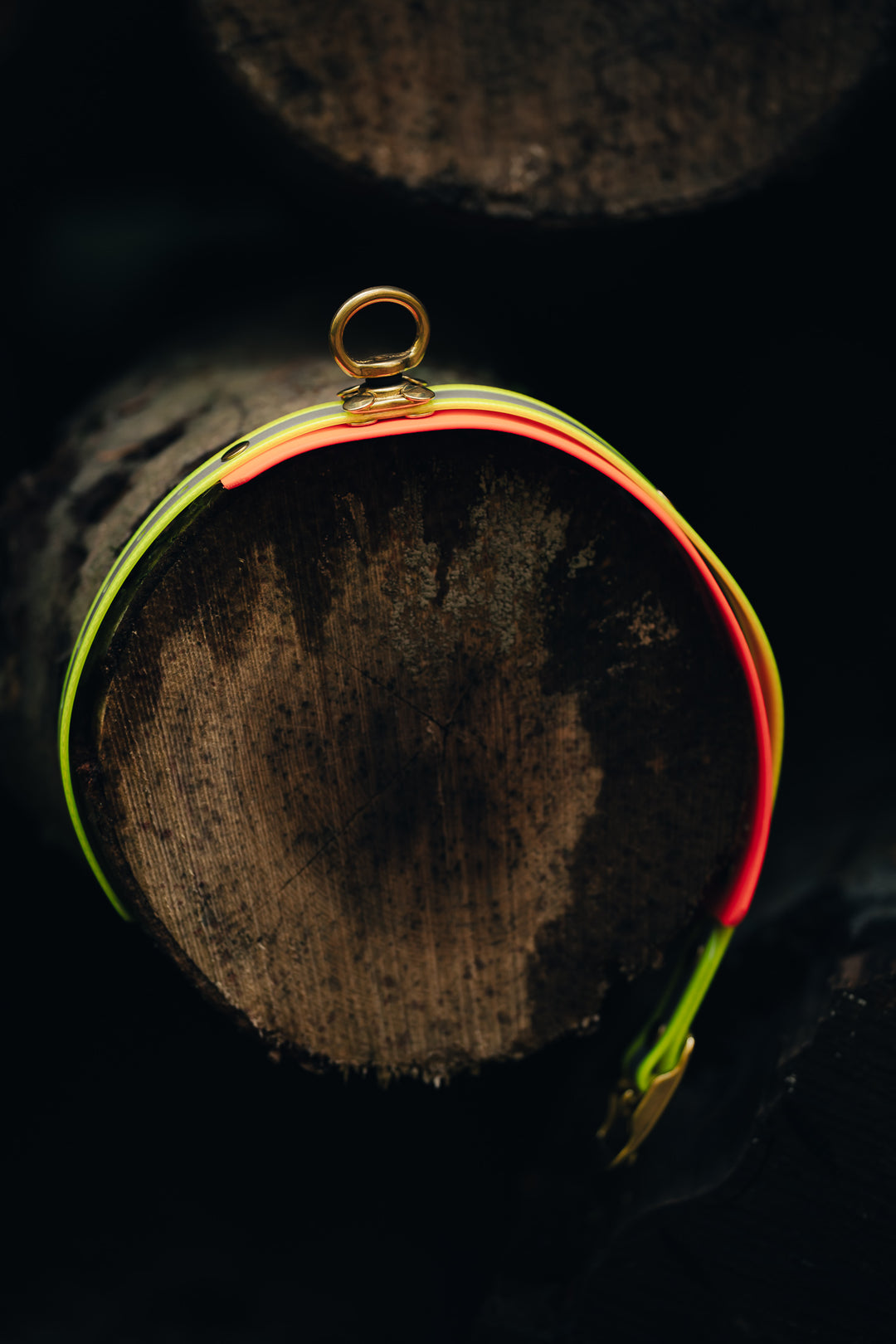 Biothane Schweißhalsung BICOLOR – maßgefertigte Signalhalsung für Jagdhunde – MeinJagdhund.Club
