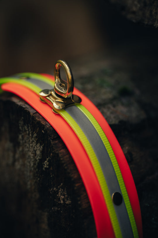 Biothane Schweißhalsung BICOLOR – maßgefertigte Signalhalsung für Jagdhunde – MeinJagdhund.Club
