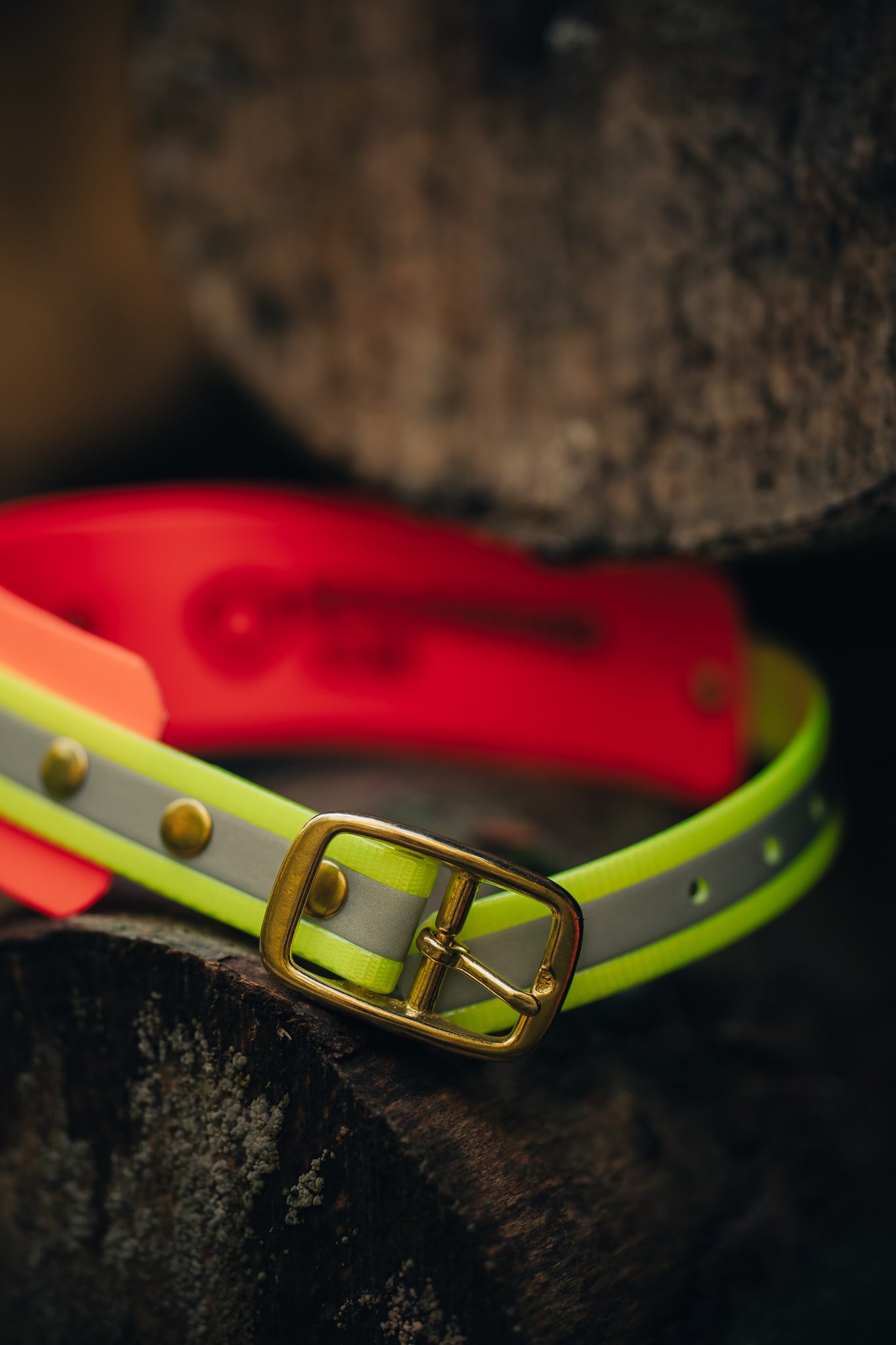 Biothane Schweißhalsung BICOLOR – maßgefertigte Signalhalsung für Jagdhunde – MeinJagdhund.Club
