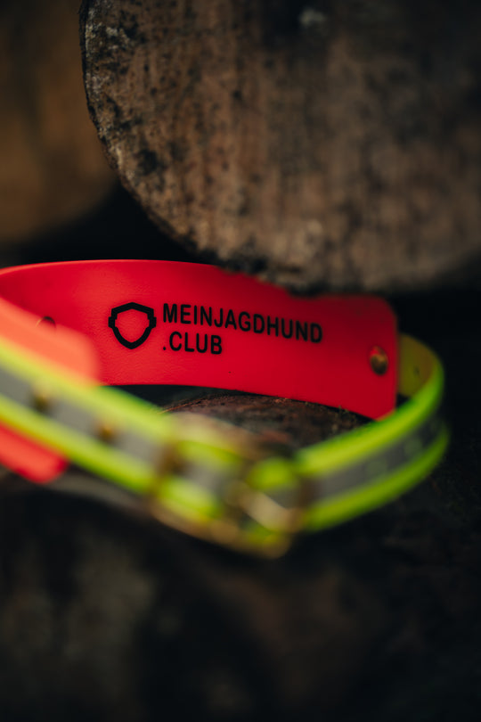 Biothane Schweißhalsung BICOLOR – maßgefertigte Signalhalsung für Jagdhunde – MeinJagdhund.Club
