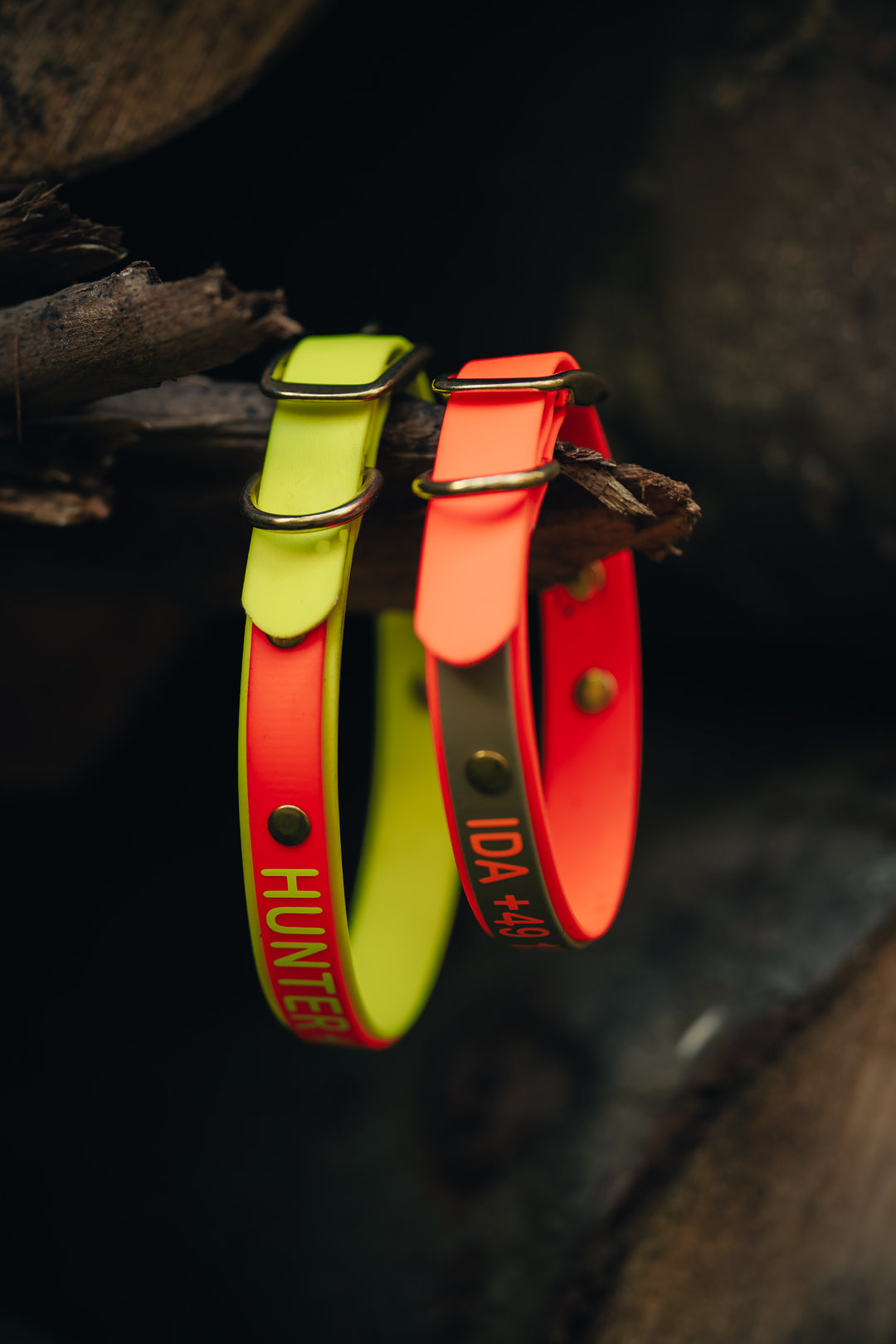 Biothane Halsung BICOLOR – zweifarbiges, personalisiertes Hundehalsband für Jagdhunde – MeinJagdhund.Club
