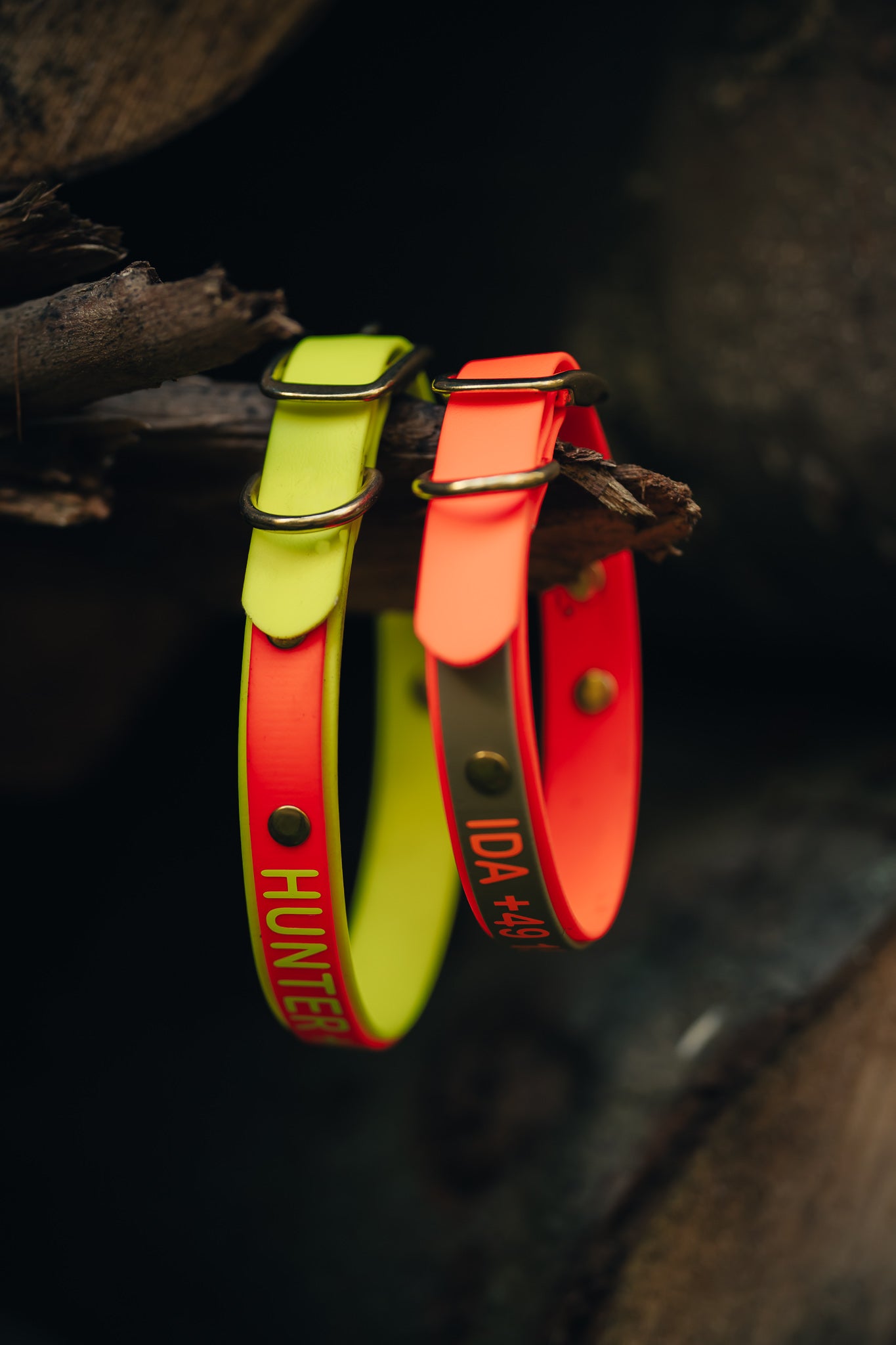 Biothane Halsung BICOLOR – zweifarbiges, personalisiertes Hundehalsband für Jagdhunde – MeinJagdhund.Club
