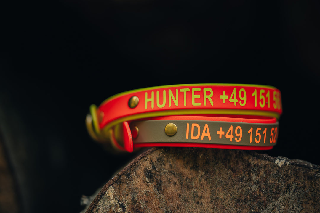 Biothane Halsung BICOLOR – zweifarbiges, personalisiertes Hundehalsband für Jagdhunde – MeinJagdhund.Club
2