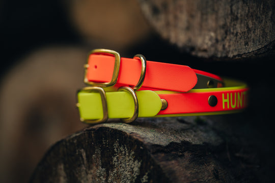 Biothane Halsung BICOLOR – zweifarbiges, personalisiertes Hundehalsband für Jagdhunde – MeinJagdhund.Club
8