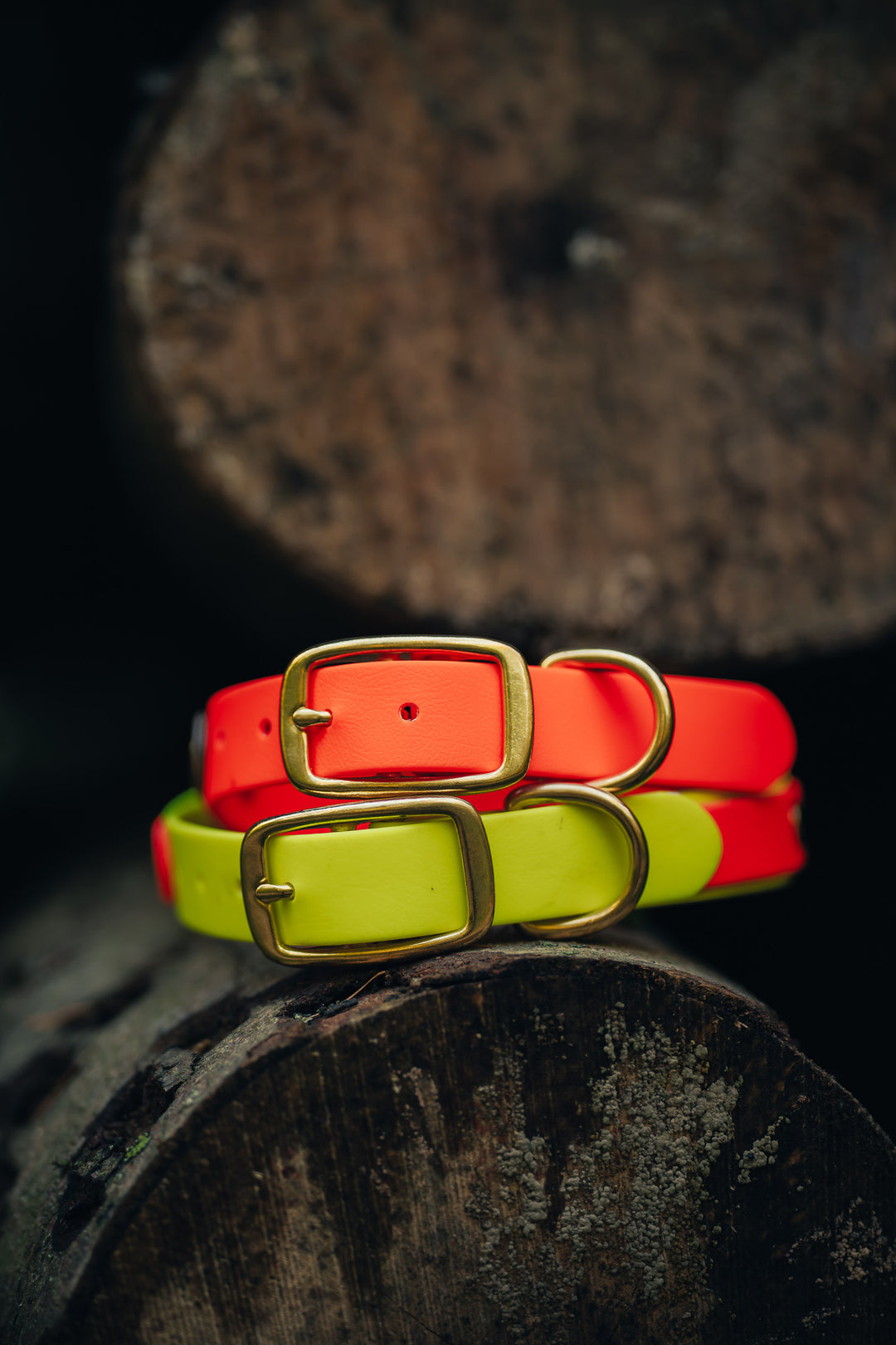 Biothane Halsung BICOLOR – zweifarbiges, personalisiertes Hundehalsband für Jagdhunde – MeinJagdhund.Club
6