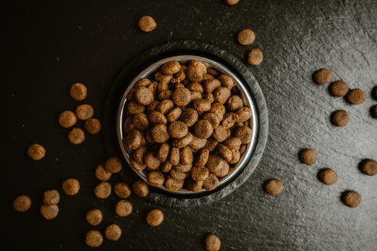 Premium Hundefutter mit frischem Huhn – getreidefrei, nährstoffreich, geeignet für aktive Jagd- & Familienhunde. Natürliche Zutaten wie Süßkartoffel, Kräuter & Superfoods. Hochwertige Proteinquelle für Muskelaufbau, Fellglanz & gesunde Verdauung – perfekt für sensible Hunde.3