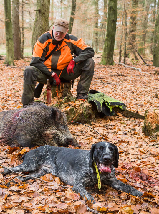 Live-Seminar mit Chris Balke – Jagdliches Nachsuchenwissen aus 12.000 Einsätzen, Februar 2026

