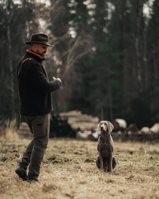Einzelcoaching: Zielgerichtetes Jagdhundtraining (5mal Einzelcoaching)