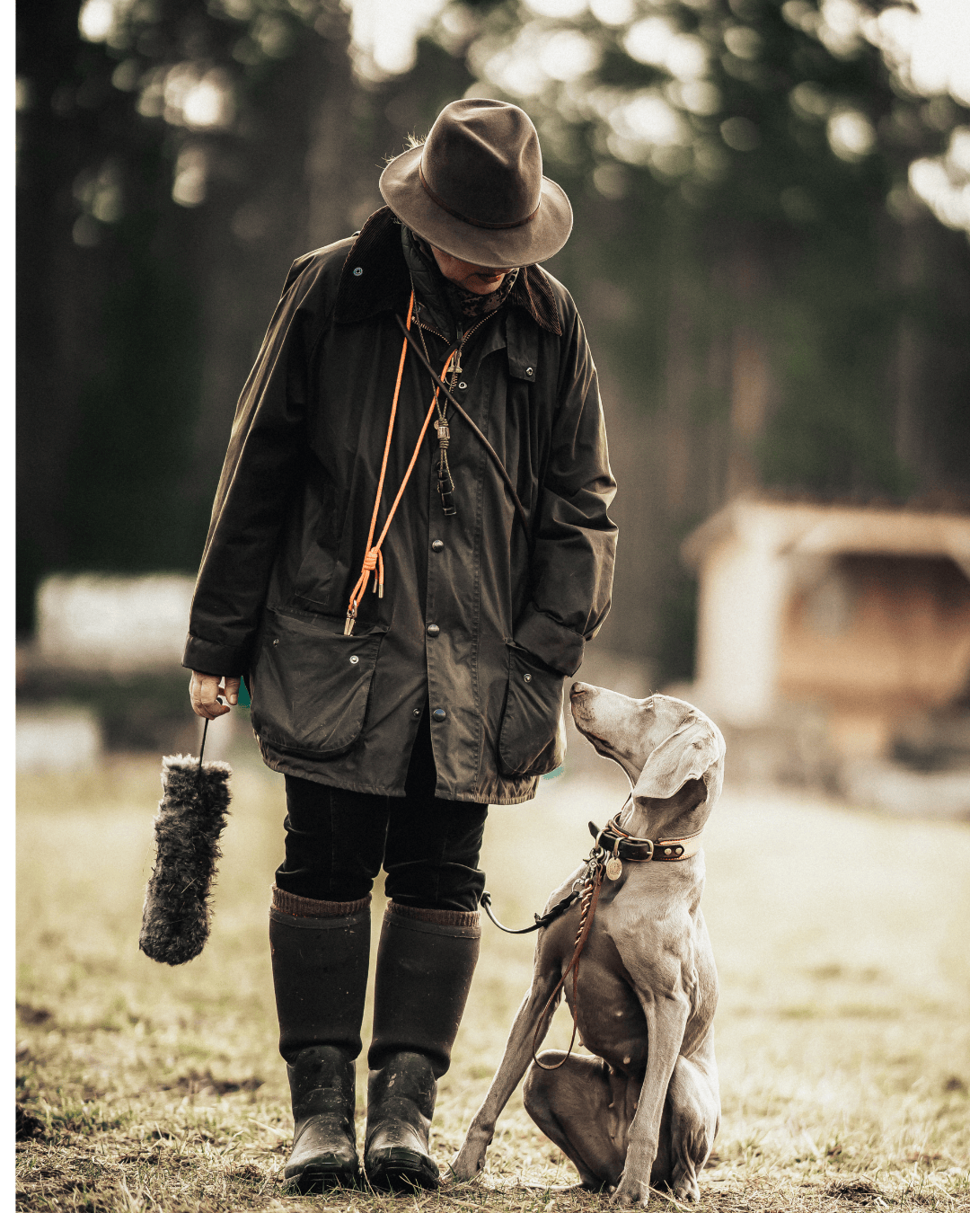 Live-Gruppentraining: Jagdhunde praxisnah ausbilden (10er-Karte)