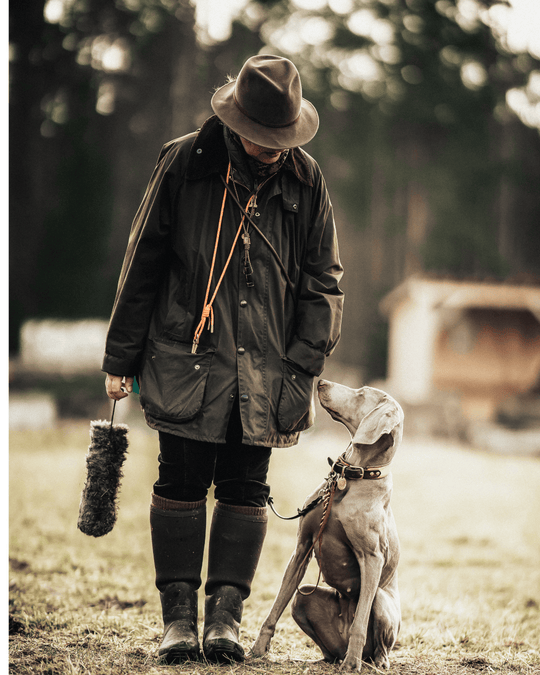 Live-Gruppentraining: Jagdhunde praxisnah ausbilden (10er-Karte)