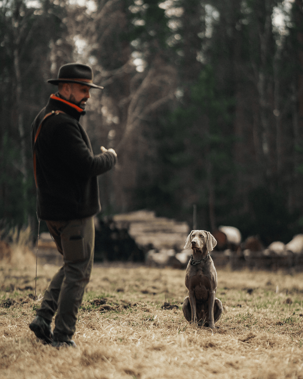 Live-Gruppentraining: Jagdhunde praxisnah ausbilden (10er-Karte)
