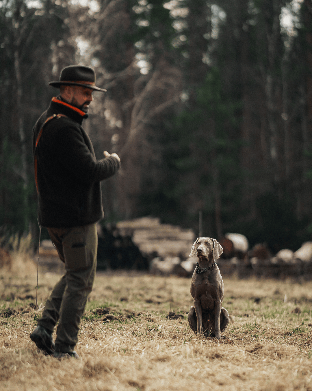 Live-Gruppentraining: Jagdhunde praxisnah ausbilden (5er-Karte)