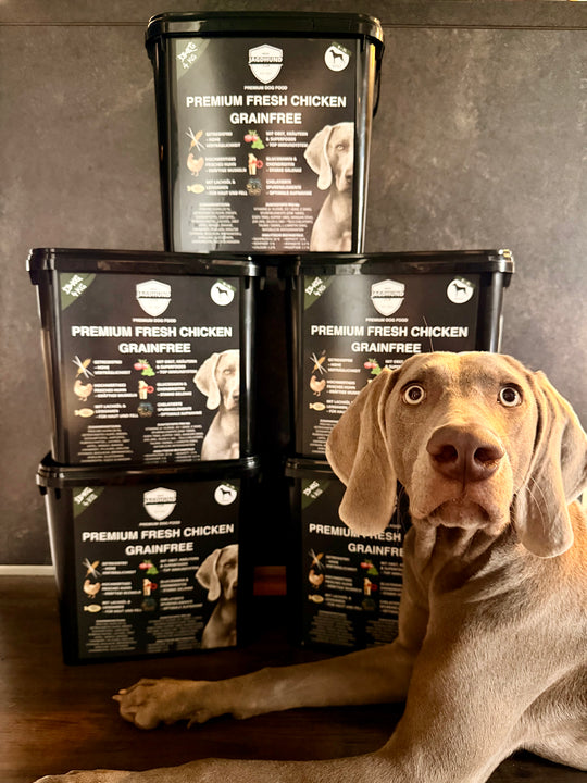 Eingewöhnungsbox – Premium Dog Food Fresh Chicken Grainfree 4 kg – getreidefreies Hundefutter mit frischem Huhn und Superfoods – MeinJagdhund.Club

