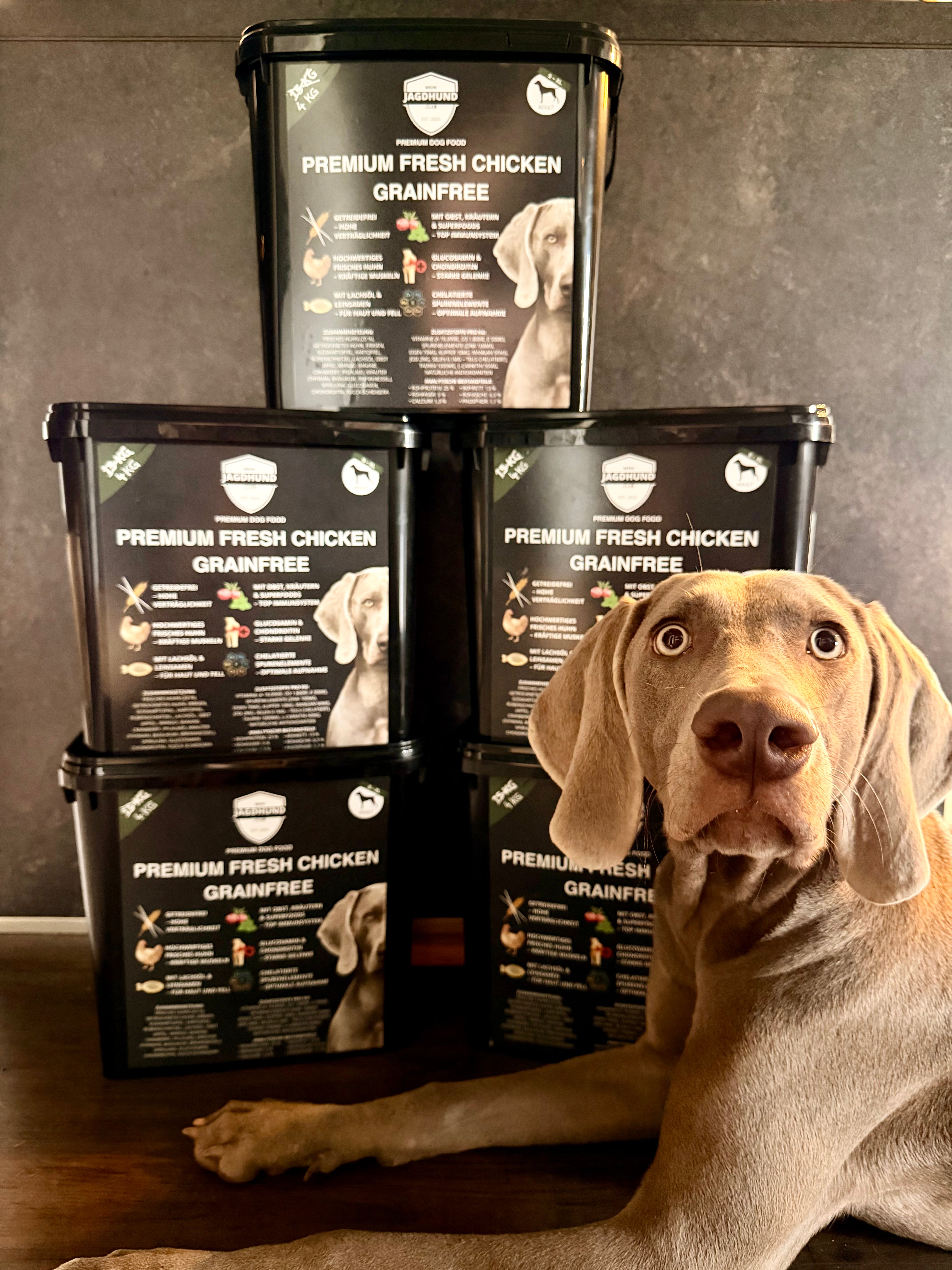 Eingewöhnungsbox – Premium Dog Food Fresh Chicken Grainfree 4 kg – getreidefreies Hundefutter mit frischem Huhn und Superfoods – MeinJagdhund.Club

