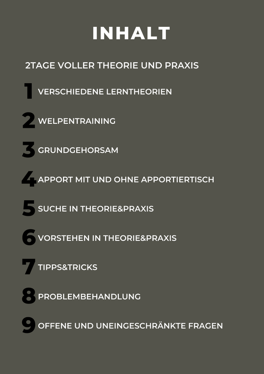 Live-Seminar mit Uwe Heiß – Ehrliche Hundearbeit!