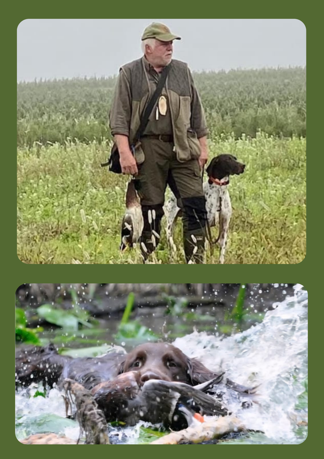 Seminar mit Winfried Edelmann – Ausbildung zur HZP und VGP für Jagdhunde, Februar 2026
